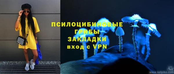 ГАЛЛЮЦИНОГЕННЫЕ ГРИБЫ Балахна