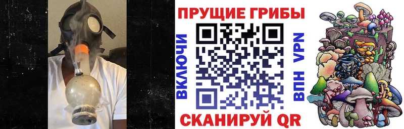 Галлюциногенные грибы MAGIC MUSHROOMS  Чудово 
